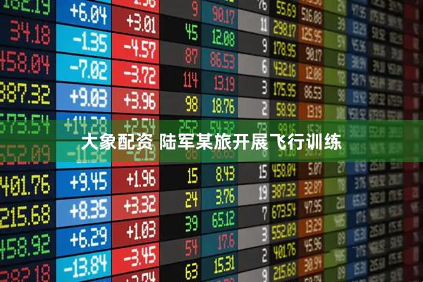 大象配资 陆军某旅开展飞行训练